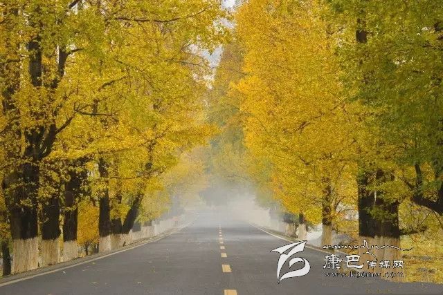 康定新都橋，有一條黃金大道通往夢(mèng)中的天堂