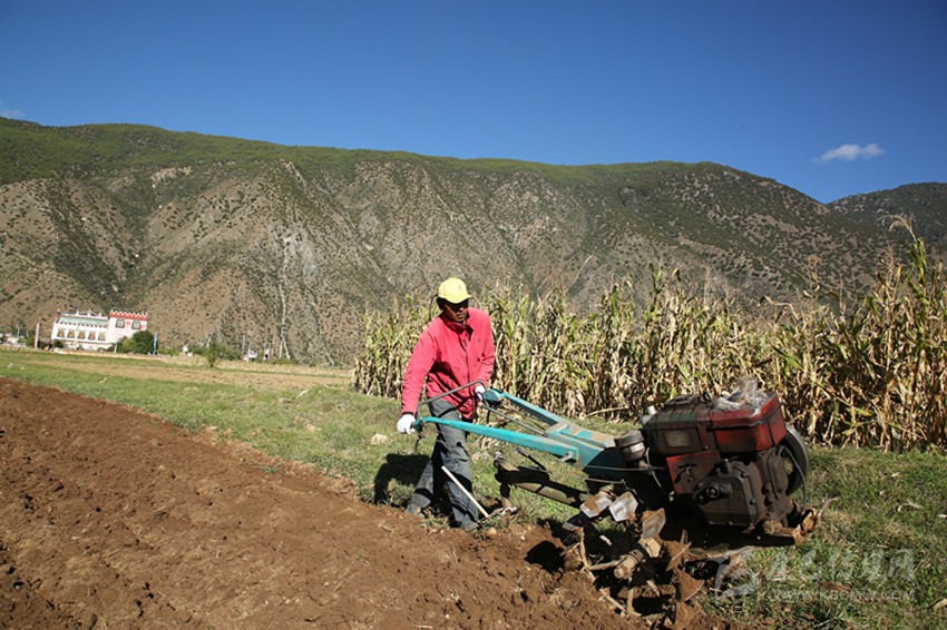 田園藏鄉(xiāng)美如畫，百姓脫貧喜在心
