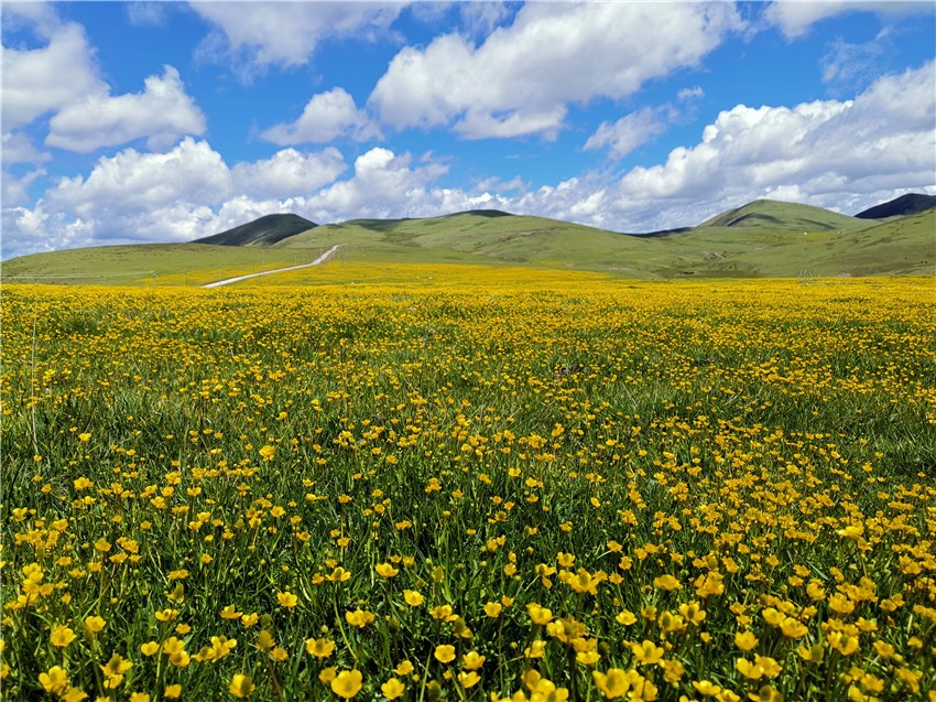 祝?；ê? 任剛.jpg