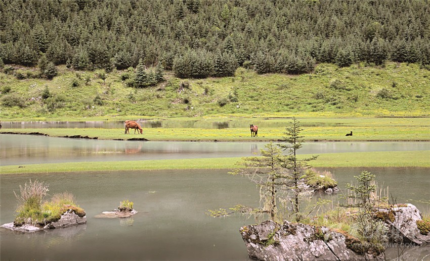 去甘孜 邂逅絕美湖泊海子！