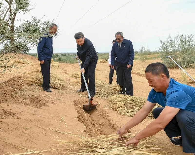 2019年8月21日，習近平來到甘肅省武威市古浪縣八步沙林場，實地察看當?shù)刂紊吃炝?、生態(tài)保護等情況。新華社記者 謝環(huán)馳 攝